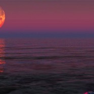 40 Florida - Super Moon -M. Beach 11 14 2016.jpg